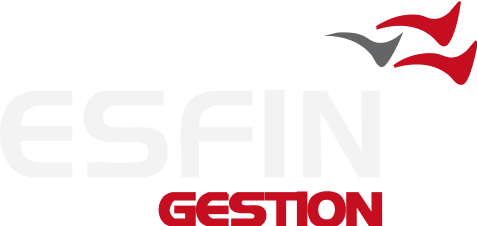logo-esfin